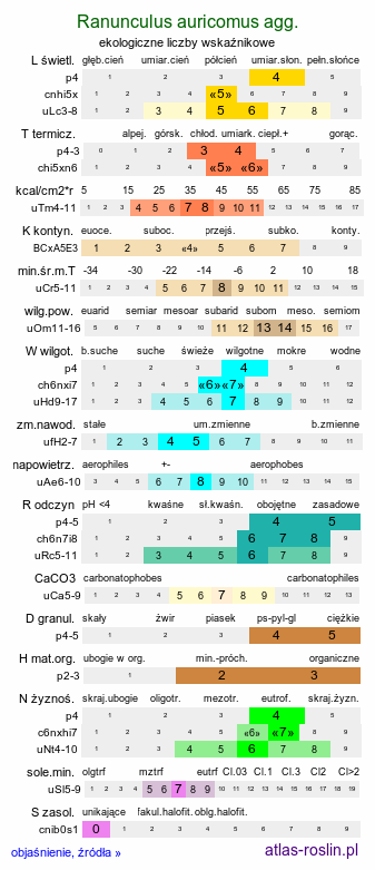 ekologiczne liczby wskaźnikowe Ranunculus auricomus agg. (jaskier różnolistny a agg.)