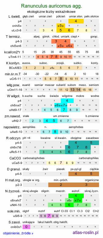 ekologiczne liczby wskaźnikowe Ranunculus auricomus agg. (jaskier różnolistny agg.)