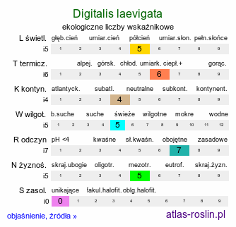 ekologiczne liczby wskaźnikowe Digitalis laevigata (naparstnica gładka)