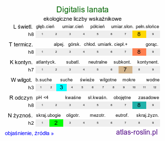 ekologiczne liczby wskaźnikowe Digitalis lanata (naparstnica wełnista)