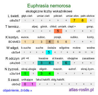 ekologiczne liczby wskaźnikowe Euphrasia nemorosa (świetlik gajowy)