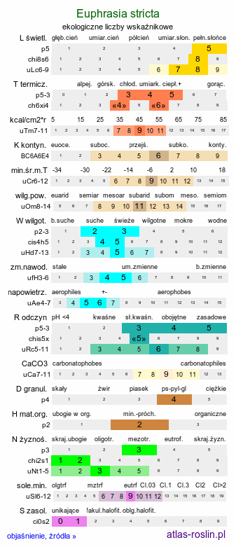 ekologiczne liczby wskaźnikowe Euphrasia stricta (świetlik wyprężony)