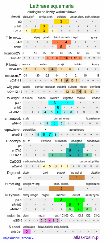 ekologiczne liczby wskaźnikowe Lathraea squamaria (łuskiewnik różowy)