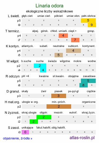 ekologiczne liczby wskaźnikowe Linaria odora (lnica wonna)