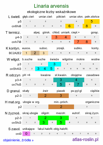 ekologiczne liczby wskaźnikowe Linaria arvensis (lnica polna)