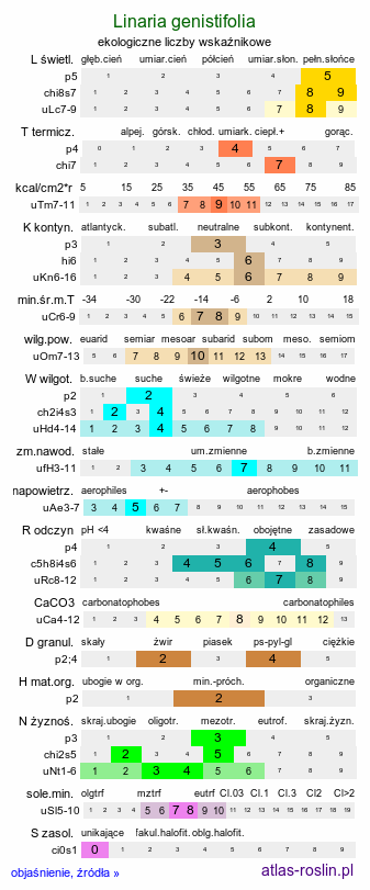 ekologiczne liczby wskaźnikowe Linaria genistifolia (lnica janowcowata)