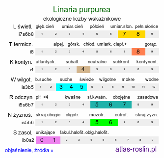 ekologiczne liczby wskaźnikowe Linaria purpurea (lnica purpurowa)