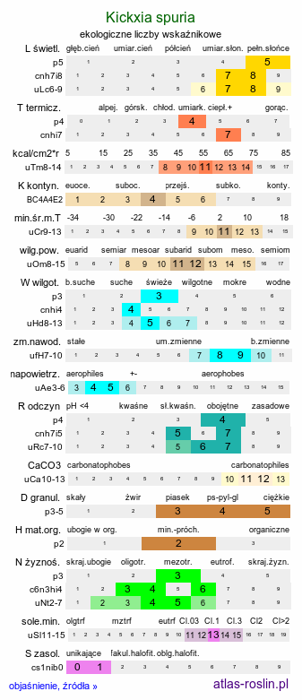 ekologiczne liczby wskaźnikowe Kickxia spuria (kiksja zgiętoostrogowa)