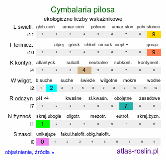 ekologiczne liczby wskaźnikowe Cymbalaria pilosa (cymbalaria owłosiona)