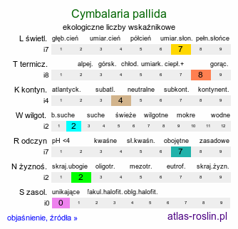 ekologiczne liczby wskaźnikowe Cymbalaria pallida (cymbalaria blada)