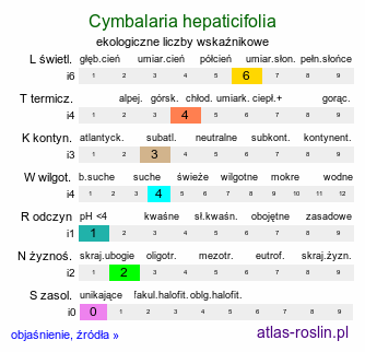 ekologiczne liczby wskaźnikowe Cymbalaria hepaticifolia (cymbalaria przylaszczkolistna)