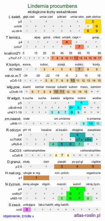 ekologiczne liczby wskaźnikowe Lindernia procumbens (lindernia mułowa)