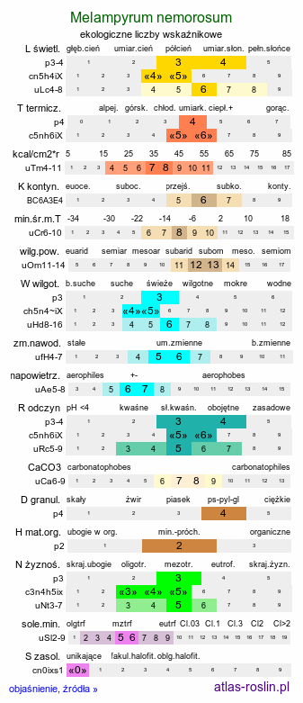 ekologiczne liczby wskaźnikowe Melampyrum nemorosum (pszeniec gajowy)