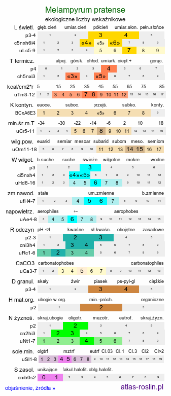 ekologiczne liczby wskaźnikowe Melampyrum pratense (pszeniec zwyczajny)