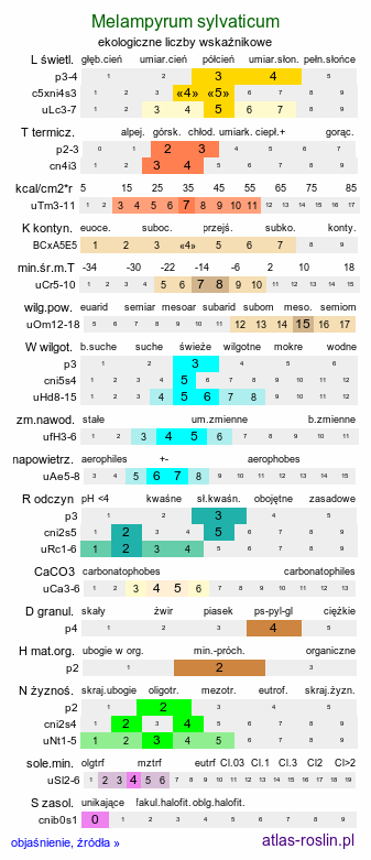 ekologiczne liczby wskaźnikowe Melampyrum sylvaticum (pszeniec leśny)