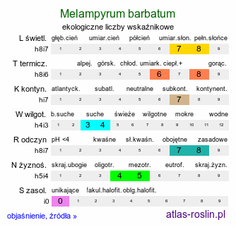 ekologiczne liczby wskaźnikowe Melampyrum barbatum (pszeniec brodaty)