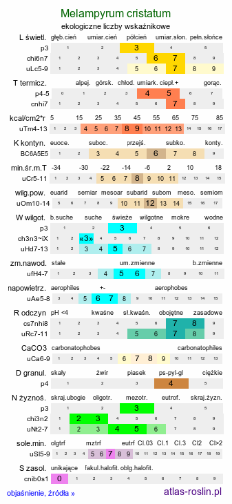 ekologiczne liczby wskaźnikowe Melampyrum cristatum (pszeniec grzebieniasty)