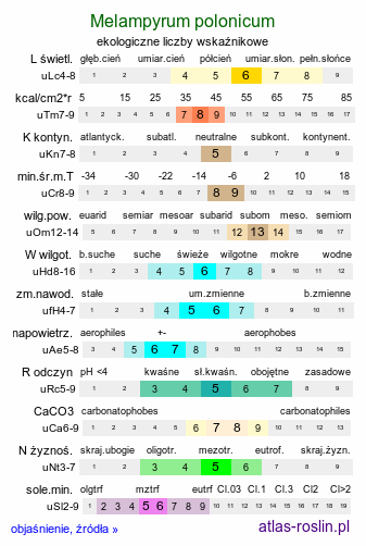 ekologiczne liczby wskaźnikowe Melampyrum polonicum (pszeniec polski)