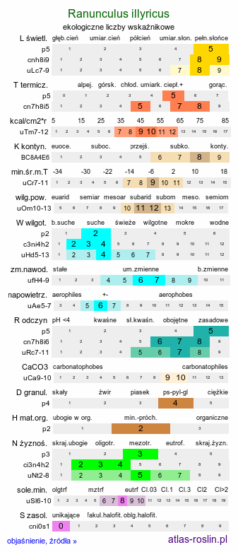 ekologiczne liczby wskaźnikowe Ranunculus illyricus (jaskier iliryjski)