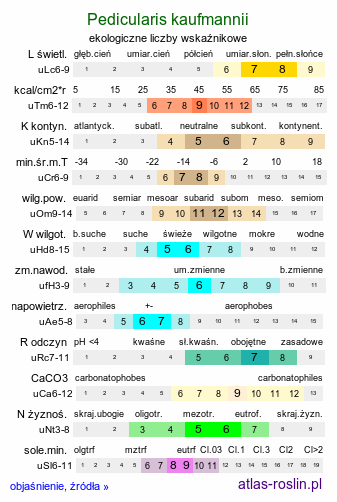 ekologiczne liczby wskaźnikowe Pedicularis kaufmannii (gnidosz stepowy)