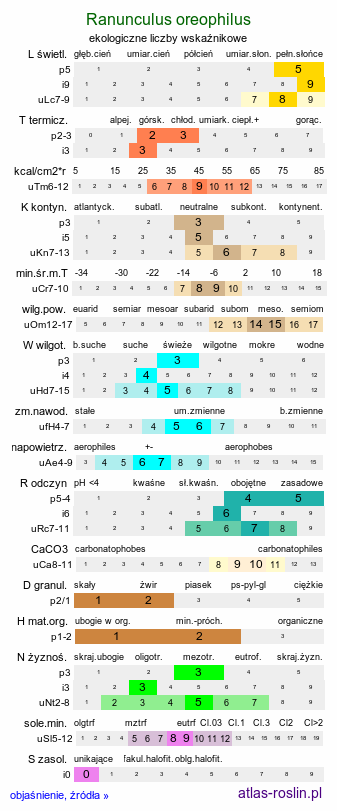 ekologiczne liczby wskaźnikowe Ranunculus oreophilus (jaskier skalny)