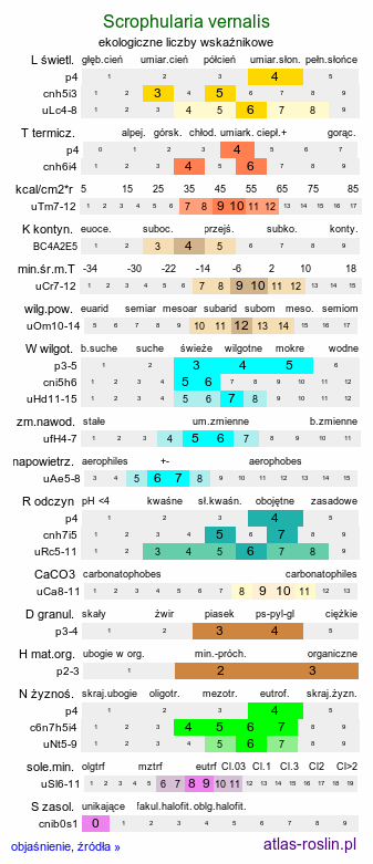 ekologiczne liczby wskaźnikowe Scrophularia vernalis (trędownik wiosenny)