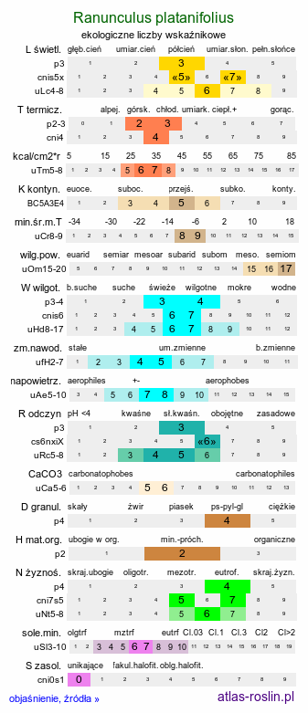 ekologiczne liczby wskaźnikowe Ranunculus platanifolius (jaskier platanolistny)
