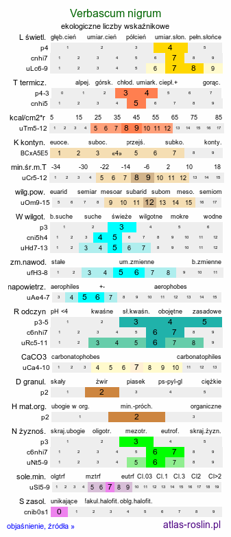ekologiczne liczby wskaźnikowe Verbascum nigrum (dziewanna pospolita)