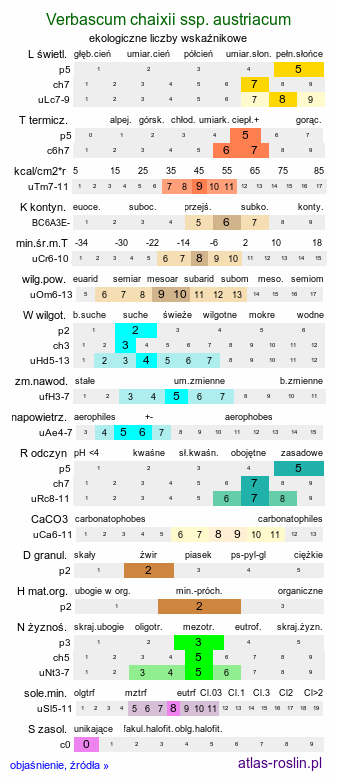 ekologiczne liczby wskaźnikowe Verbascum chaixii ssp. austriacum (dziewanna Chaixa austriacka)