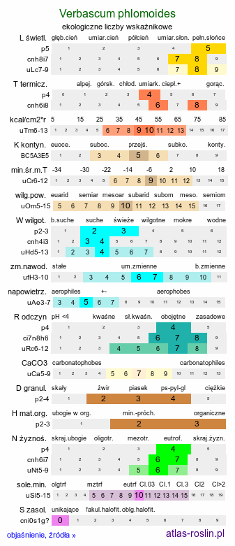 ekologiczne liczby wskaźnikowe Verbascum phlomoides (dziewanna kutnerowata)
