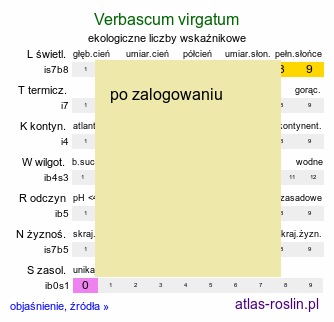 ekologiczne liczby wskaźnikowe Verbascum virgatum (dziewanna rózgowata)