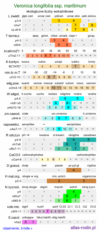 ekologiczne liczby wskaźnikowe Veronica longifolia ssp. maritimum (przetacznik długolistny)
