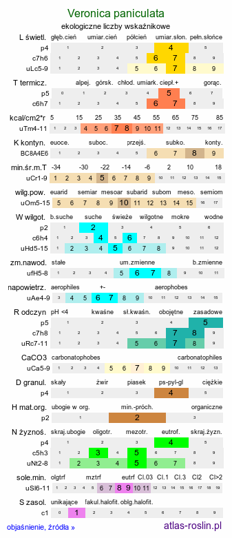 ekologiczne liczby wskaźnikowe Veronica paniculata (przetacznik zwodny)