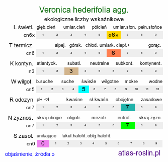 ekologiczne liczby wskaźnikowe Veronica hederifolia agg. (przetacznik bluszczykowy (agg.))