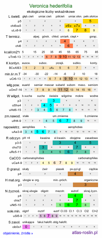 ekologiczne liczby wskaźnikowe Veronica hederifolia (przetacznik bluszczykowy (s.str.))