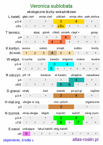 ekologiczne liczby wskaźnikowe Veronica sublobata (przetacznik blady)