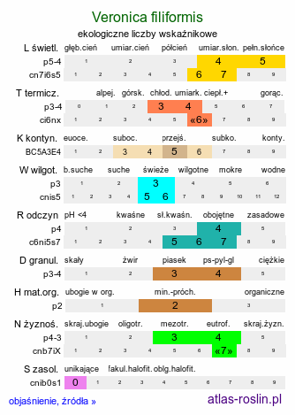 ekologiczne liczby wskaźnikowe Veronica filiformis (przetacznik nitkowaty)
