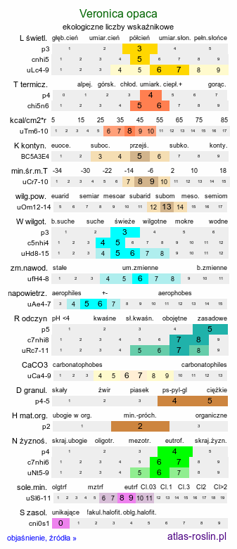 ekologiczne liczby wskaźnikowe Veronica opaca (przetacznik ćmy)