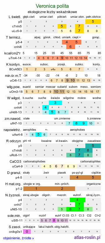 ekologiczne liczby wskaźnikowe Veronica polita (przetacznik lśniący)