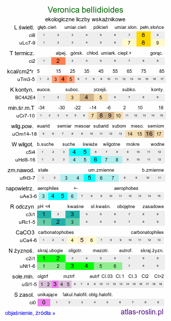 ekologiczne liczby wskaźnikowe Veronica bellidioides (przetacznik stokrotkowy)