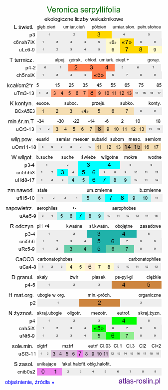 ekologiczne liczby wskaźnikowe Veronica serpyllifolia (przetacznik macierzankowy)