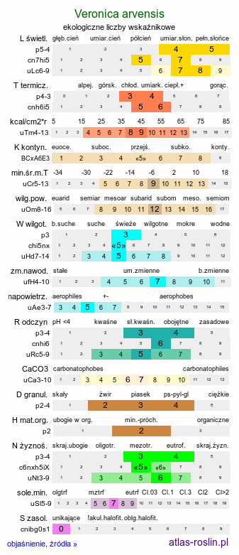 ekologiczne liczby wskaźnikowe Veronica arvensis (przetacznik polny)