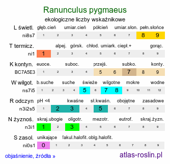 ekologiczne liczby wskaźnikowe Ranunculus pygmaeus (jaskier karłowaty)