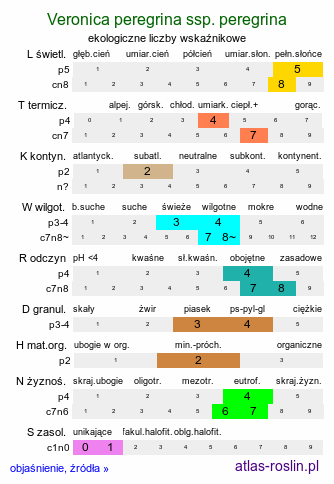 ekologiczne liczby wskaźnikowe Veronica peregrina ssp. peregrina (przetacznik obcy typowy)