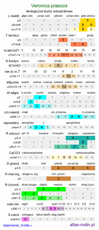 ekologiczne liczby wskaźnikowe Veronica praecox (przetacznik wczesny)