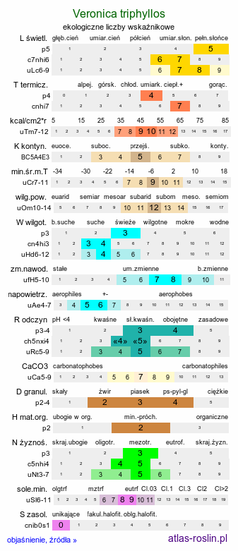 ekologiczne liczby wskaźnikowe Veronica triphyllos (przetacznik trójlistkowy)