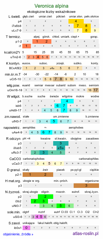 ekologiczne liczby wskaźnikowe Veronica alpina (przetacznik alpejski)