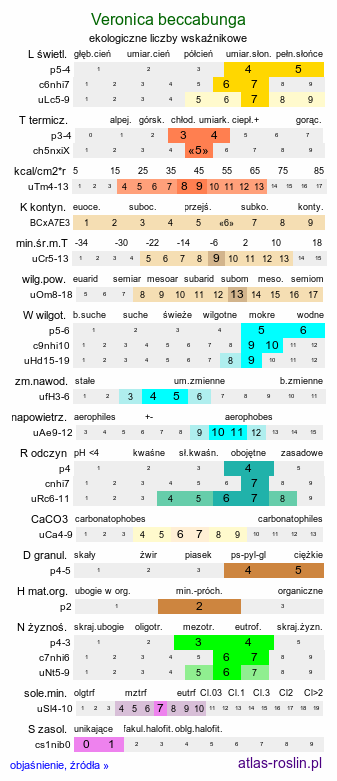 ekologiczne liczby wskaźnikowe Veronica beccabunga (przetacznik bobowniczek)