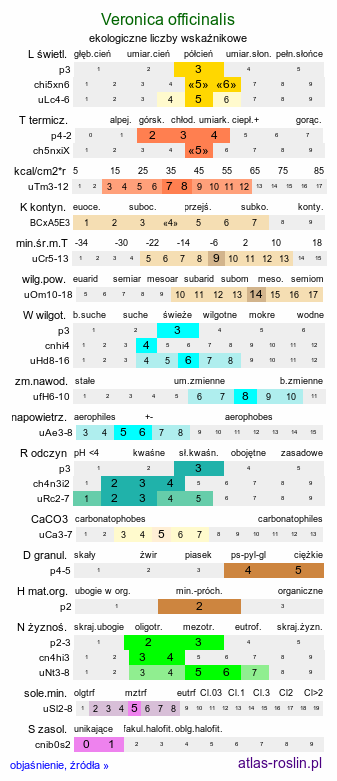 ekologiczne liczby wskaźnikowe Veronica officinalis (przetacznik leśny)