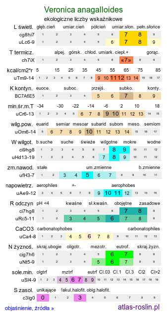 ekologiczne liczby wskaźnikowe Veronica anagalloides (przetacznik mułowy)